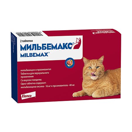 Лекарство от глистов для кошек