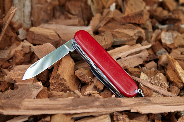 Что относится к понятию «перочинный нож»? | Science Debate
