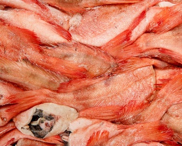 Где можно приобрести качественную свежемороженую рыбу оптом?