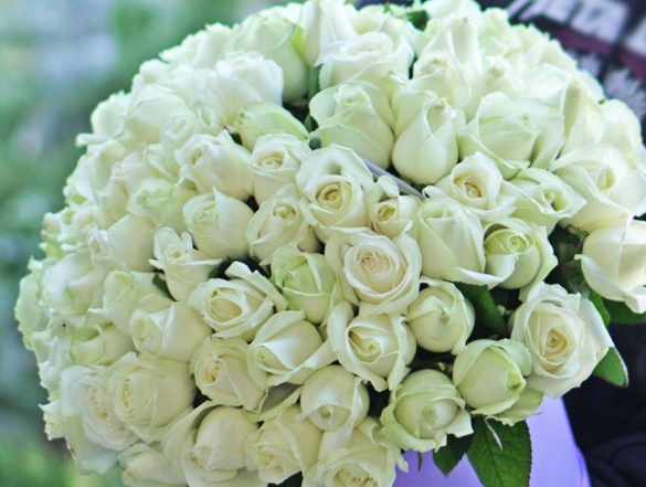 О доставке цветов и 101 розе в Киеве О доставке цветов и 101 розе в Киеве