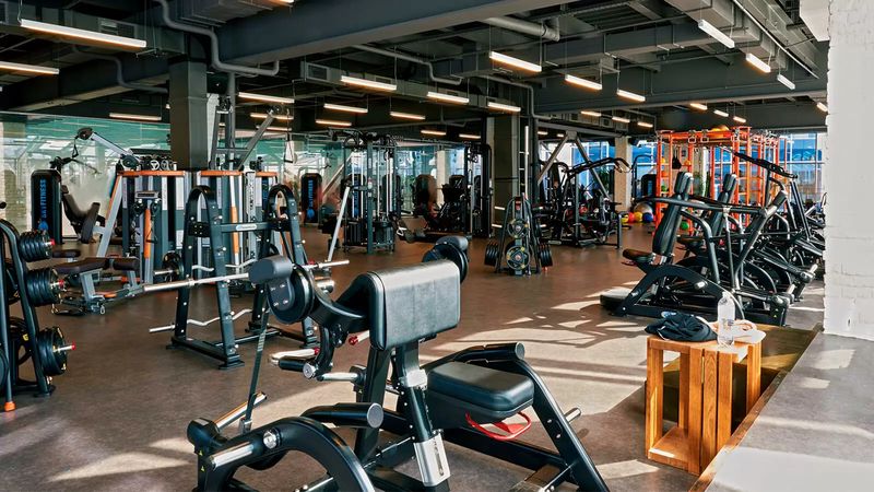 Какие занятия выбрать в фитнес зале? Какие занятия выбрать в фитнес зале?