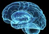 Основные болезни мозга