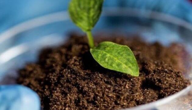 Проведення агрохімічного аналізу ґрунту Проведення агрохімічного аналізу ґрунту