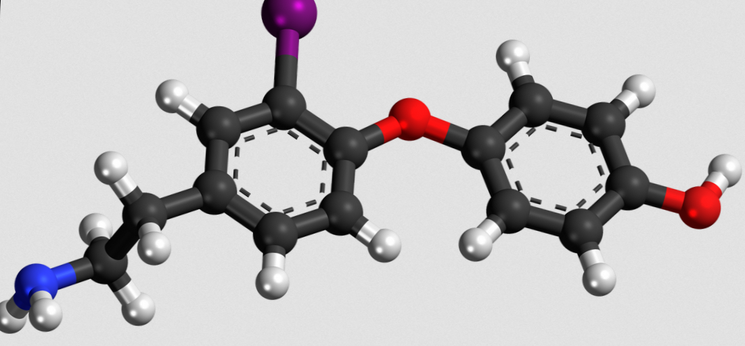 Тироксин и нехватка йода в организме  