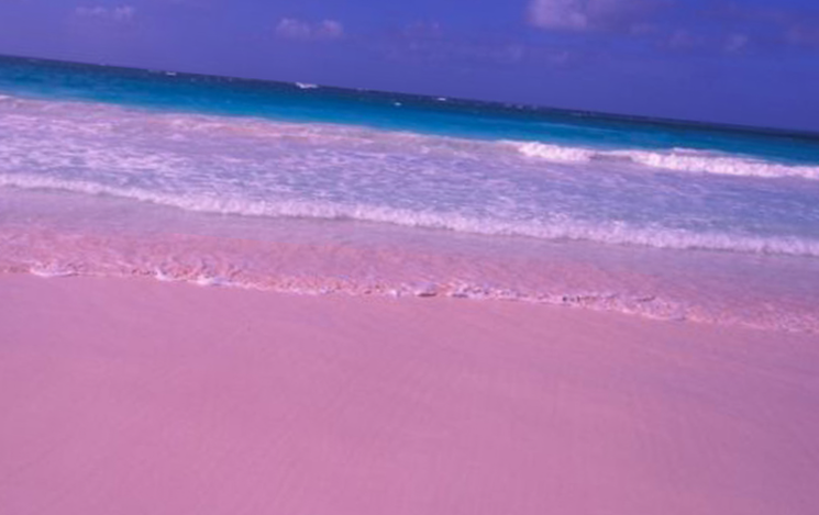  Розовый пляж – богемный отдых и дайвинг