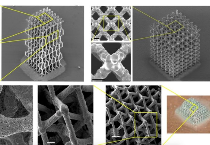Альтернатива синтетического платика из композита паутины и древисины