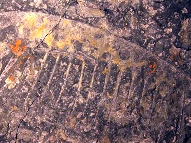 Отпечаток древнего существа на камне