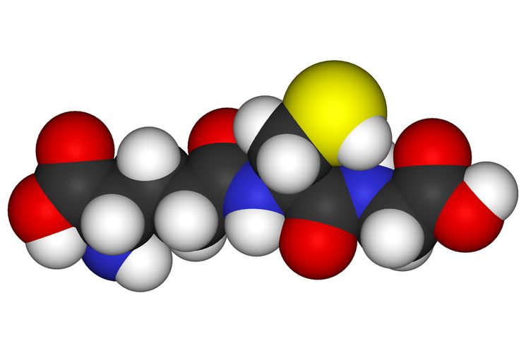Глутатион - трипептид γ-глутамилцистеинилглицин - антиоксидант