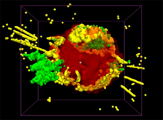 3D-модель взрыва сверхновой