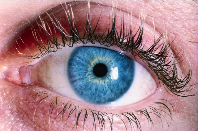 Голубой цвет глаз