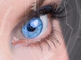 человеческое зрение и из чего состоит глаз