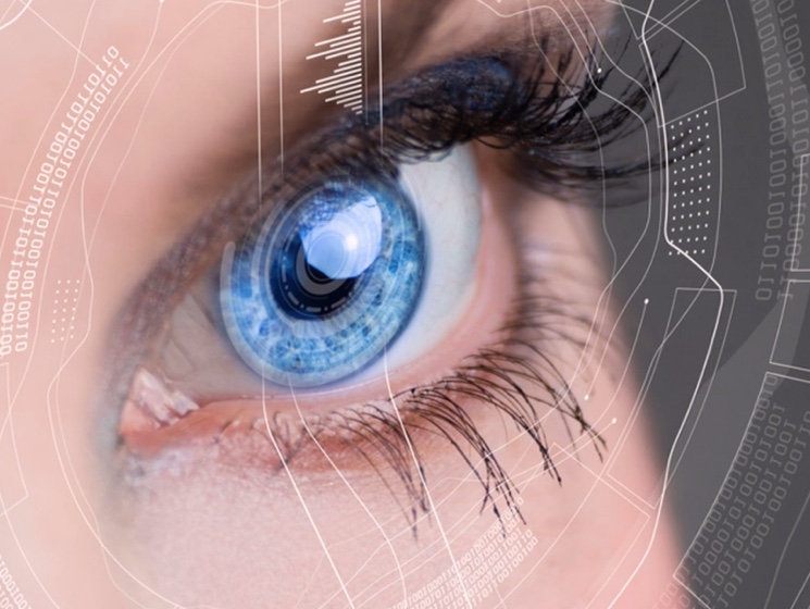 человеческое зрение и из чего состоит глаз