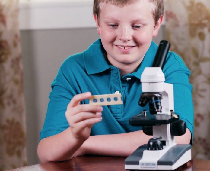 Что в световой микроскоп можно увидеть