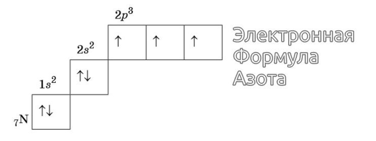 Строение электронных оболочек атома: что такое нейтрон, протон и ...