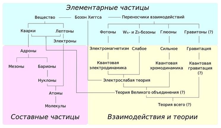 Обзор различных семейств элементарных и составных частиц