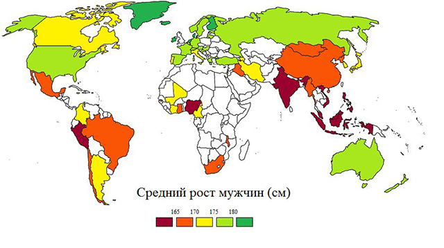 Средний рост мужчик на карте мира