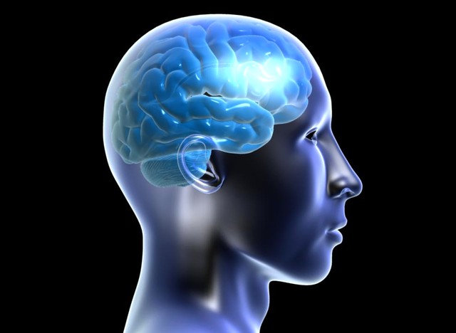 Мифы о мозге человека