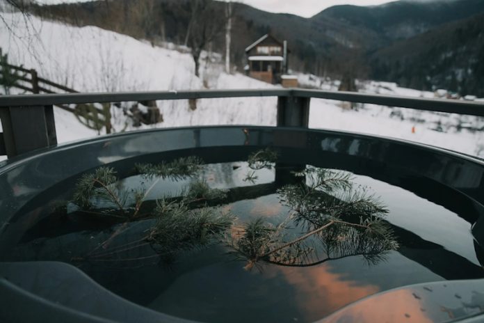 зняти будинок в Карпатах з чаном