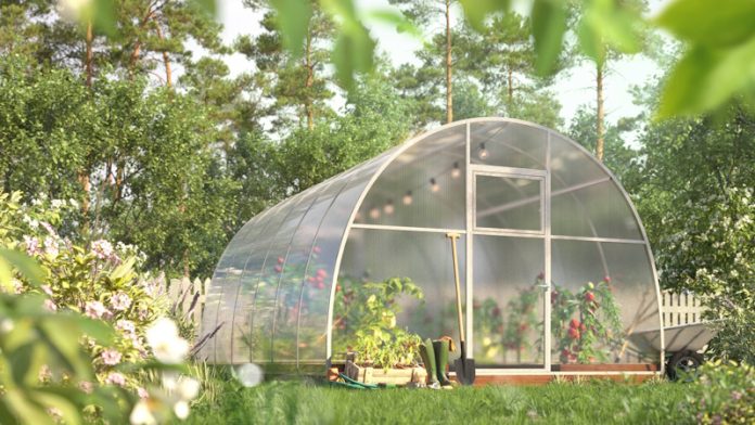 teplitsy-polikarbonat