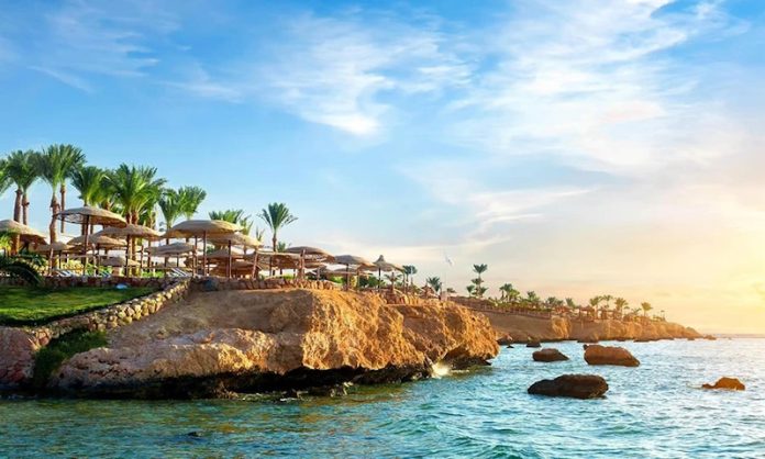 едем в египет на отдых