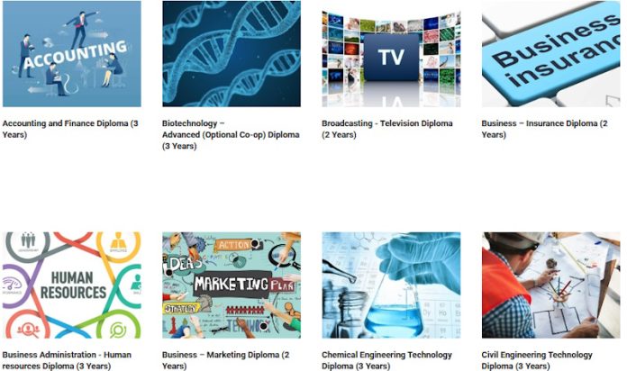 Лучшие колледжи Канады