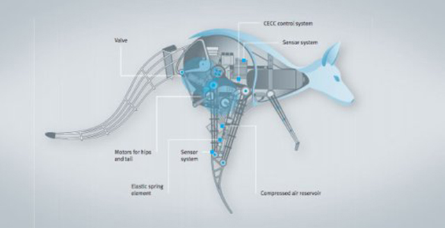 Системы BionicKangaroo