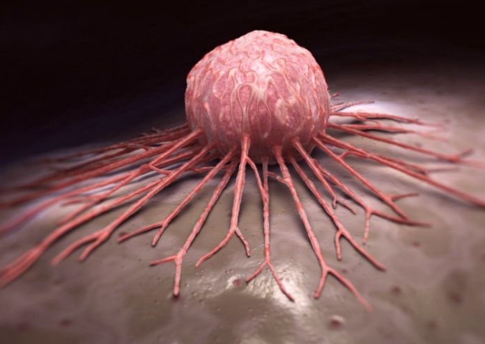 Нобелевская премия по медицине за вклад в лечение рака