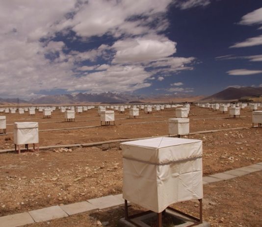 Оборудования Tibet air shower array