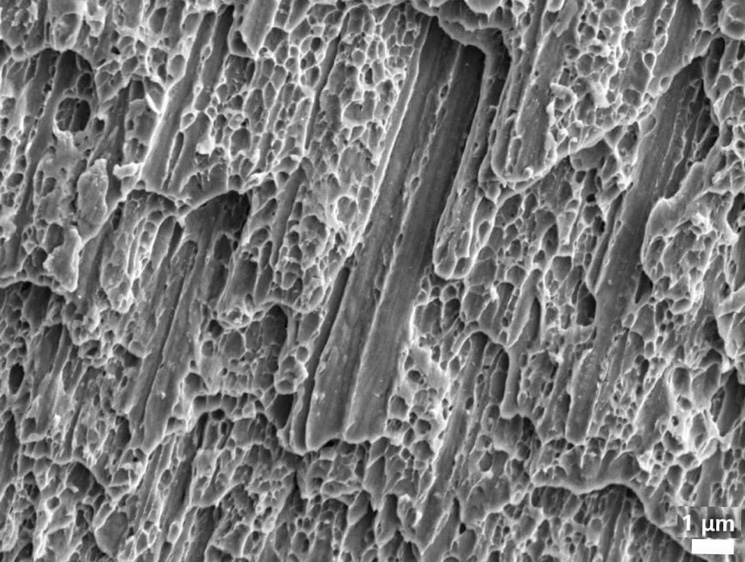 Отполированная поверхность нервавеюшего металла под микроскопом