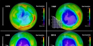 Динамика изменения озонового слоя Земли