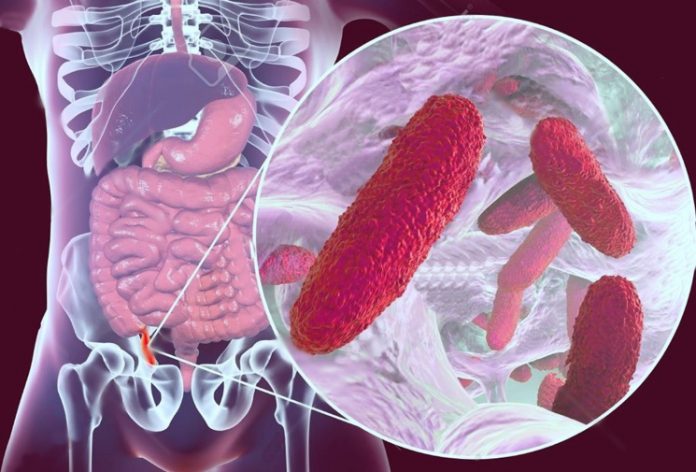 Поражение печени бактериями Klebsiella pneumonia
