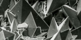 Поверхность кристаллов песка в почках