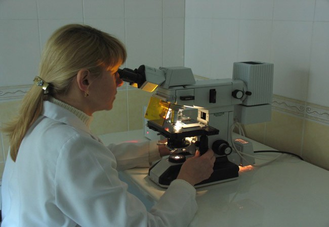 Для какой работы нужна книжечка санэпид? Как сделать санитарную книжку в Варшаве и Польше Для какой работы нужна книжечка санэпид? Как сделать санитарную книжку в Варшаве и Польше