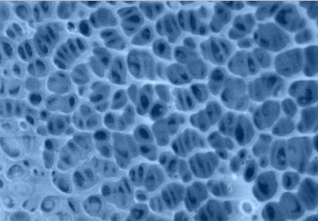 Структура политиофена