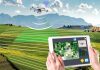 Точное земледелие - технология в современном сельском хозяйстве