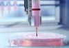 Напечатано сердце на 3D принтере из клеток человека
