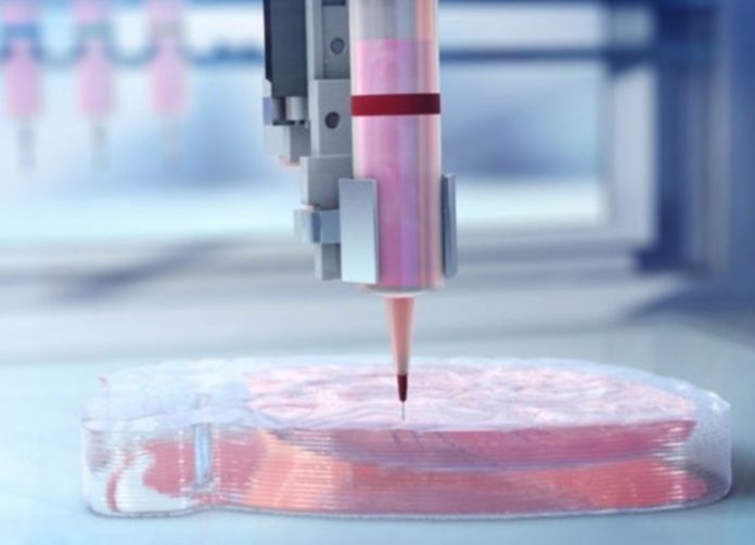 Напечатано сердце на 3D принтере из клеток человека