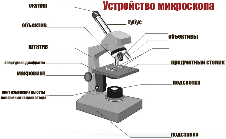 Устройство на базе школьного микроскопа